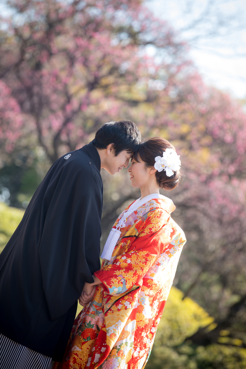 梅も綺麗な時期でした!!