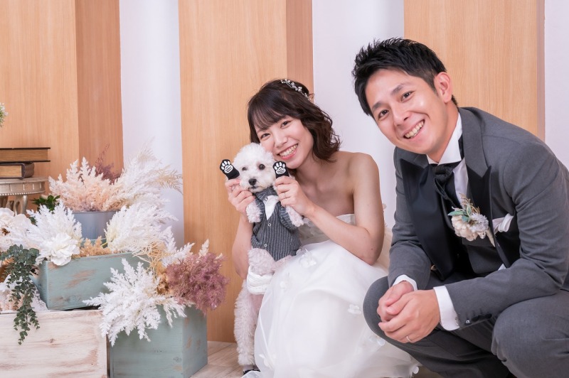 ワンちゃん撮影のお願い③