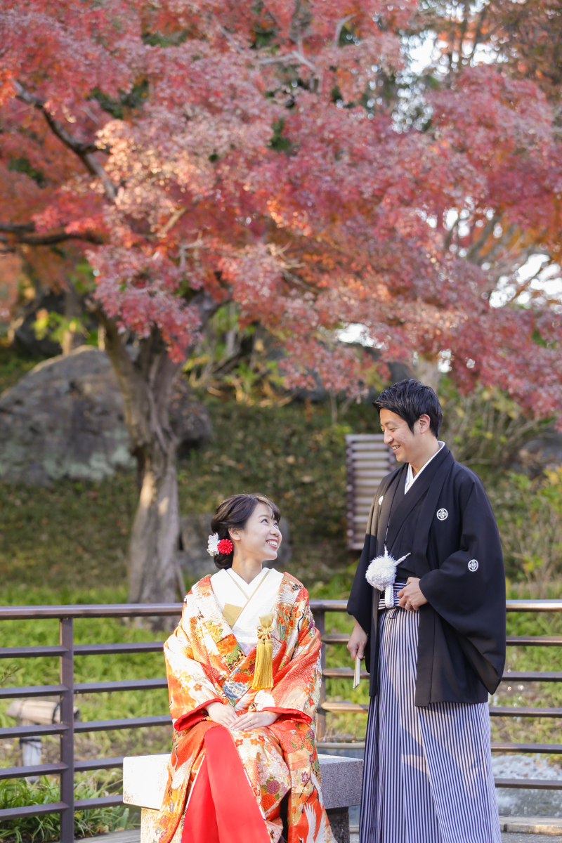 12月紅葉時期の撮影