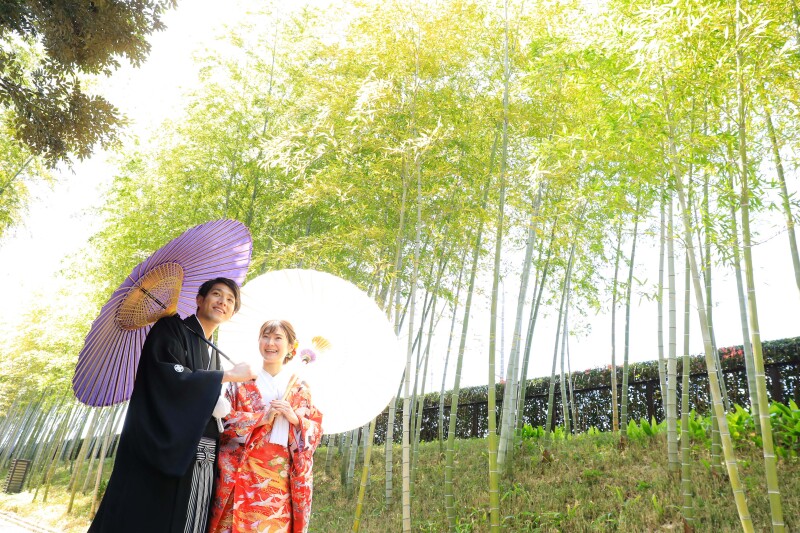 竹林で番傘ショット