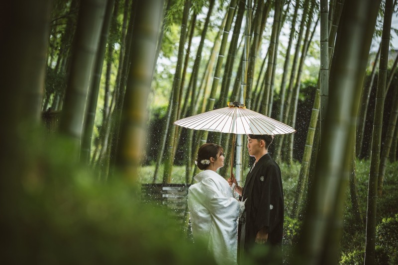 定番の竹林も