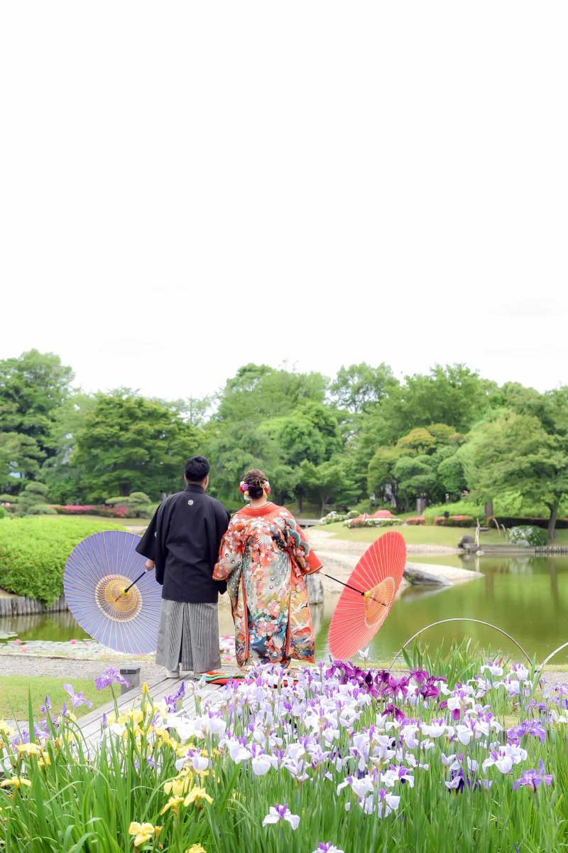 菖蒲がとっても綺麗ですね！！