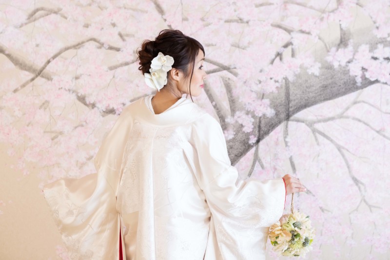 胡蝶蘭で艶っぽい