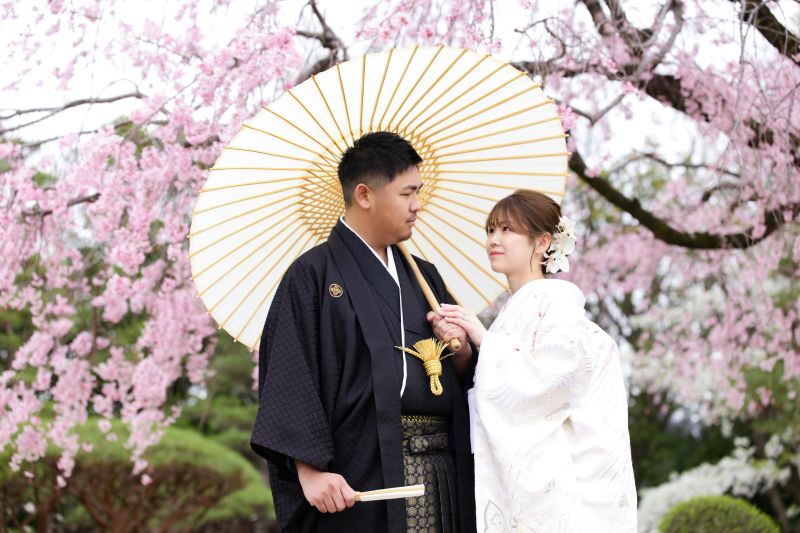 本日メインの桜撮影