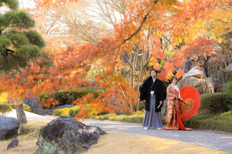 和のイメージで