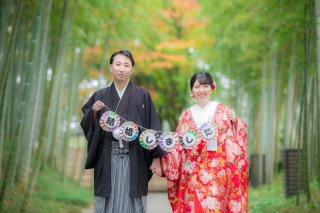 とてもお気に入りです