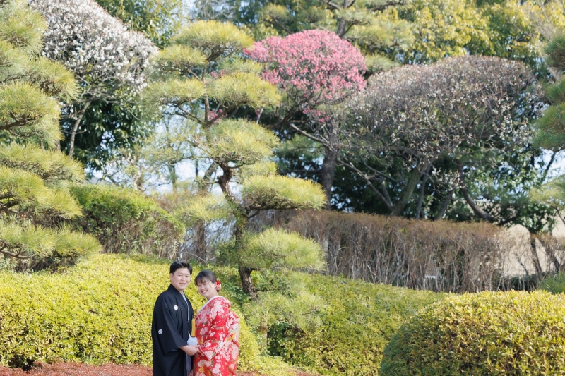 冬の花 梅の花が咲き始めていました