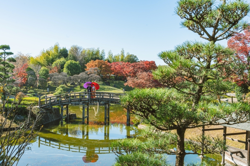 全体図はこんな感じ!