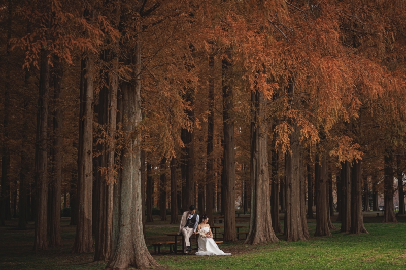 森の中でシックな感じで,,,