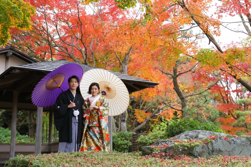 紅葉の見頃の時期です。