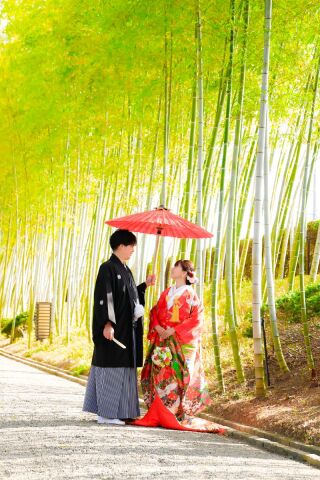 花田苑+スタジオ（わんちゃんと一緒に♡）