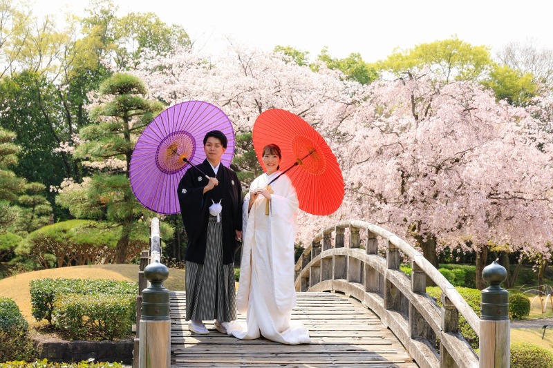 大規模な池泉回遊式庭園【太鼓橋】での撮影も!!