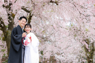 桜満開でした♡