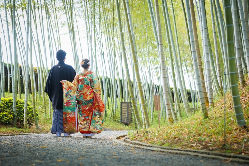 新緑の季節がやってきました!!
