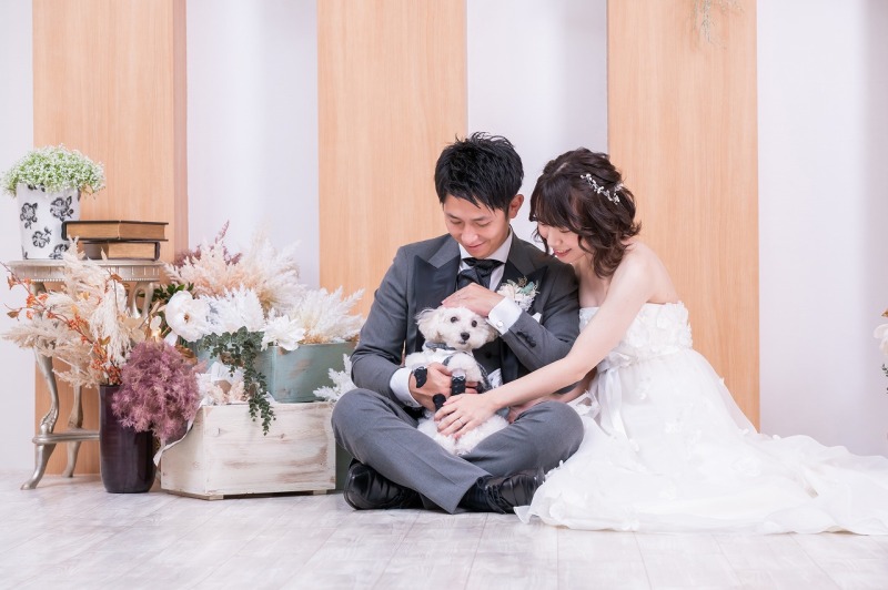 ワンちゃん撮影のお願い②