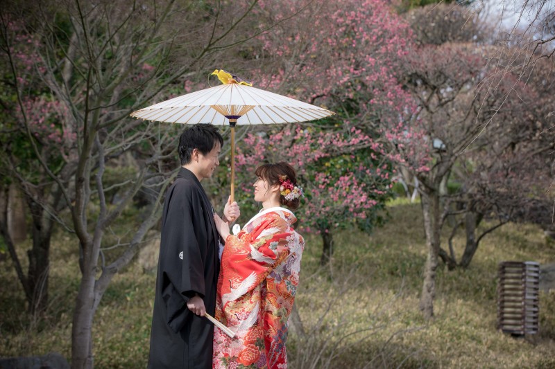 梅もきれいでした！