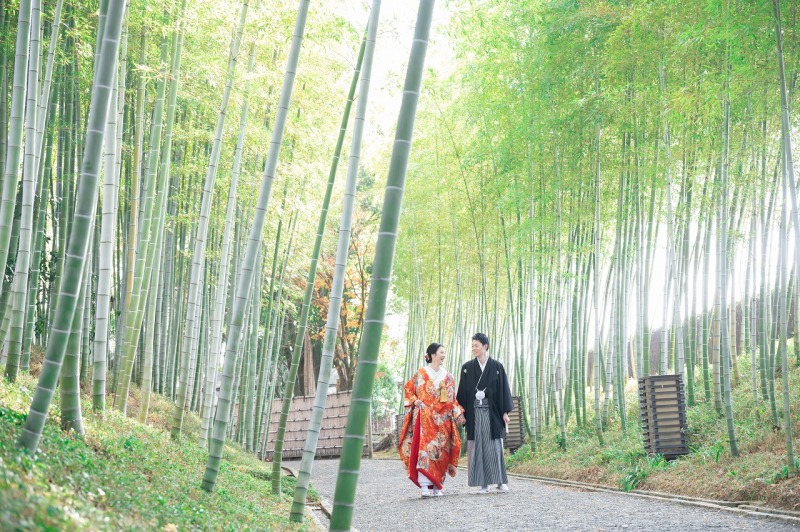 竹林を歩きながら