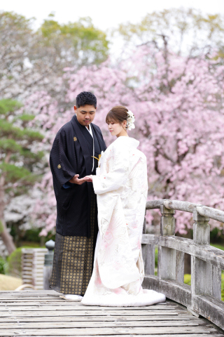 桜満開！春のウェディングフォト