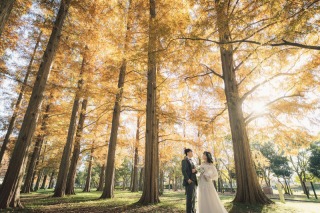 紅葉｜水元公園