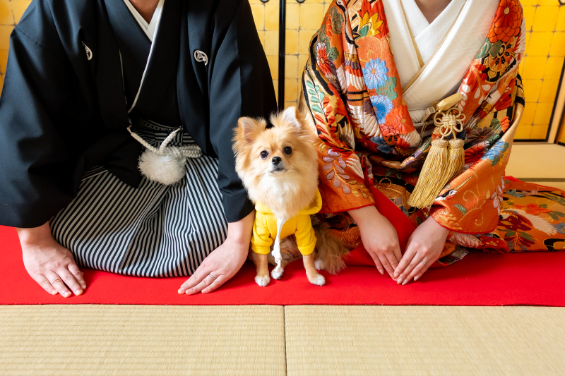 わんちゃんとの撮影ご希望の方へお願い✿