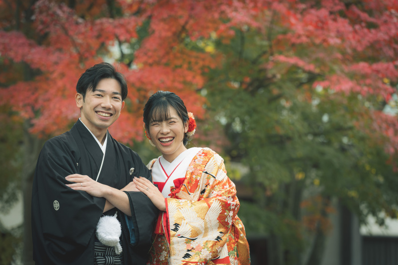 四季を彩る様々な植物