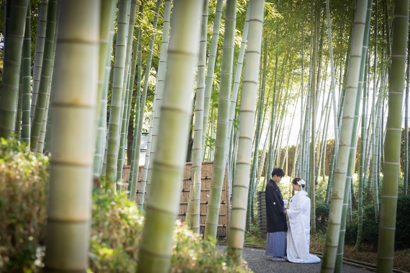 竹林が見どころの庭園