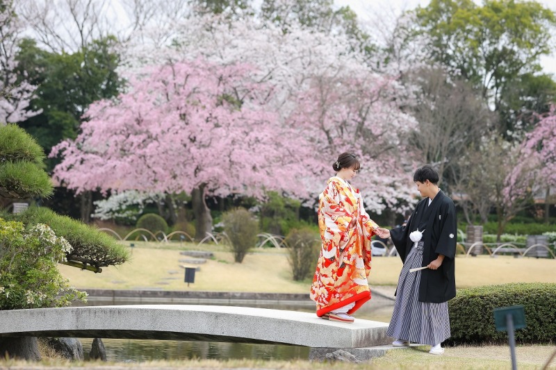 四季を彩る様々な植物