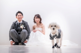 ワンちゃんとの撮影