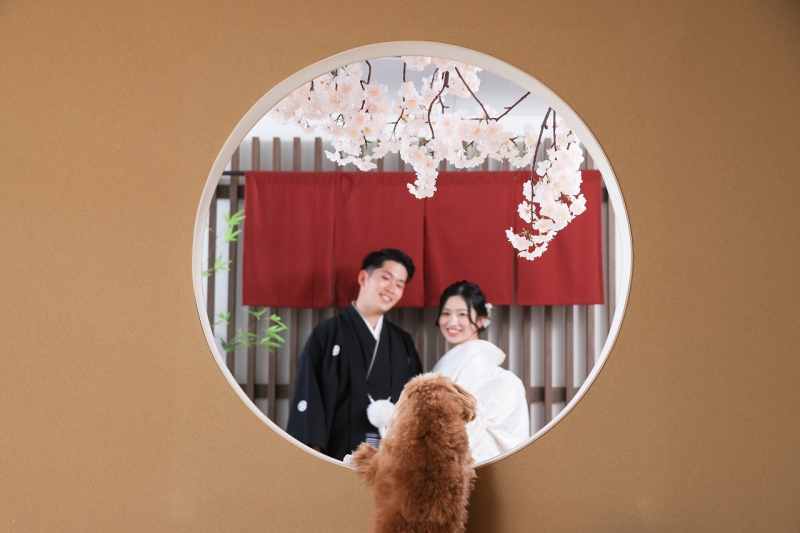 Point1 多彩な撮影シーン