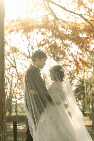 華雅苑　新越谷店_そうか公園