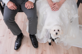 華雅苑　新越谷店