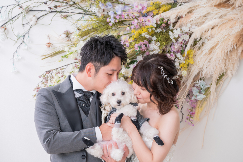 【ワンちゃんと撮影】スタジオ洋装1点プラン★洋装1着・ヘアメイク・データ80カット付♡ 韓国風ドレスも豊富!