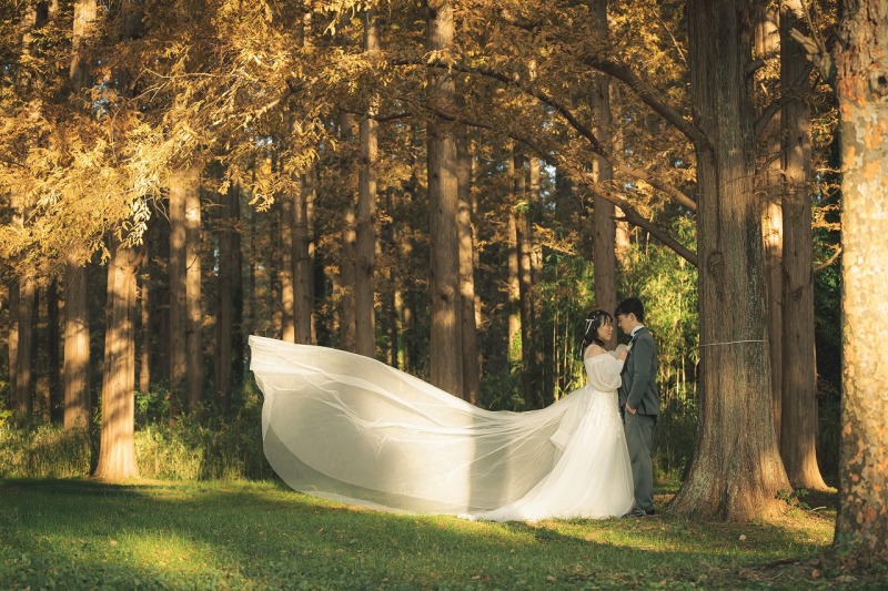 土日祝無料!【11/26~12/15撮影】和洋弐点プラン データ210カット 韓国風ドレスも豊富!