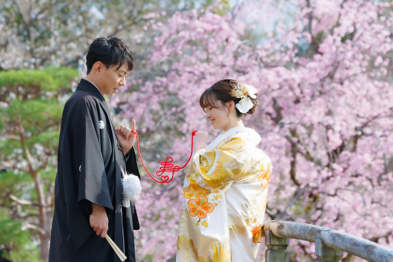 春CP！3万円オフ！先着20組限定【3/26～4/10平日撮影】和洋弐点プラン 衣装2着・撮影データ210・韓国風ドレスも豊富