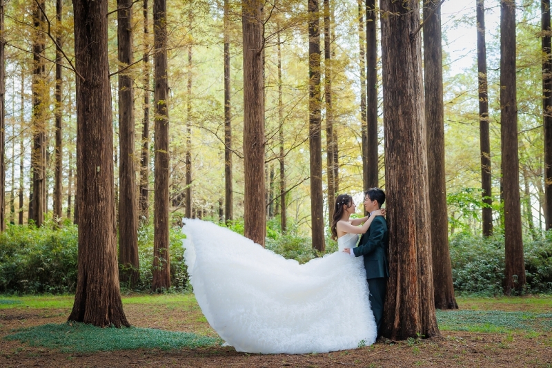 【早割】２万円OFF【12/1～2/15撮影】和洋弐点プラン　水元公園+スタジオ　土日祝無料orWBプレゼント　ペット撮影可♪