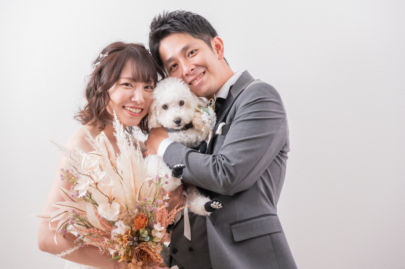 【ワンちゃんと撮影】スタジオ洋装1点プラン★洋装1着・ヘアメイク・データ80カット付♡ 韓国風ドレスも豊富!