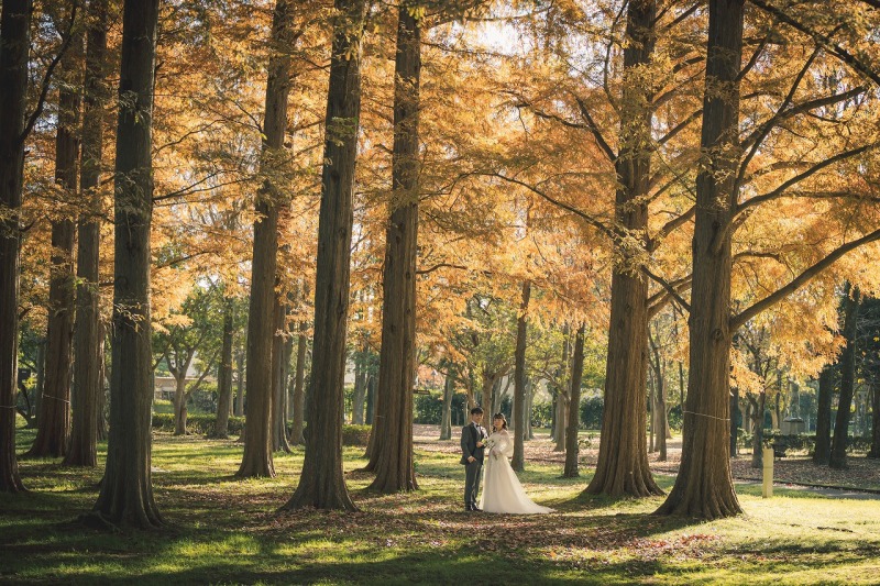 土日祝無料!【11/26~12/15撮影】和洋弐点プラン データ210カット 韓国風ドレスも豊富!