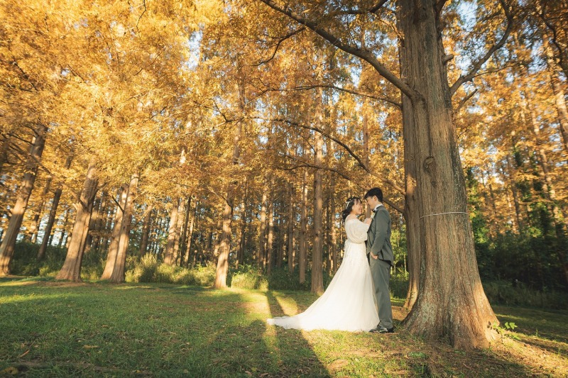 土日祝無料!【11/26~12/15撮影】和洋弐点プラン データ210カット 韓国風ドレスも豊富!