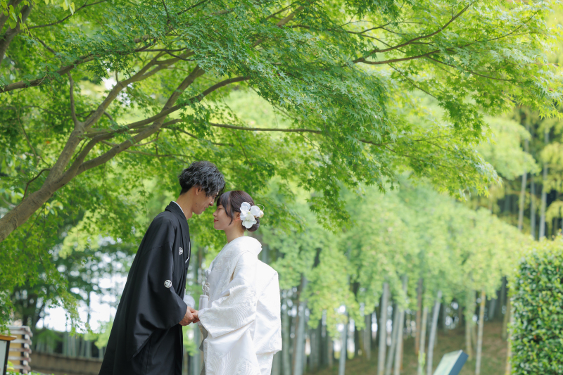 【早割】２万円OFF!!残りわずか！先着20組限定！【～3/25撮影】和洋弐点プラン　～和装ロケ＋洋装スタジオ～ ドレス70着