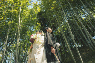 4月25日～5月10日撮影★先着10組限定　特別プラン
