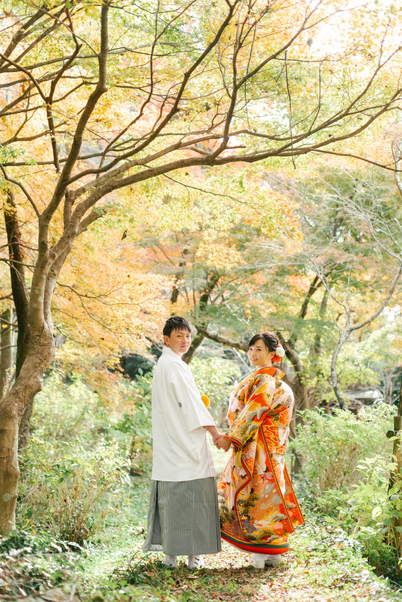 紅葉の色づきがあり