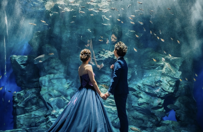 マリンワールド