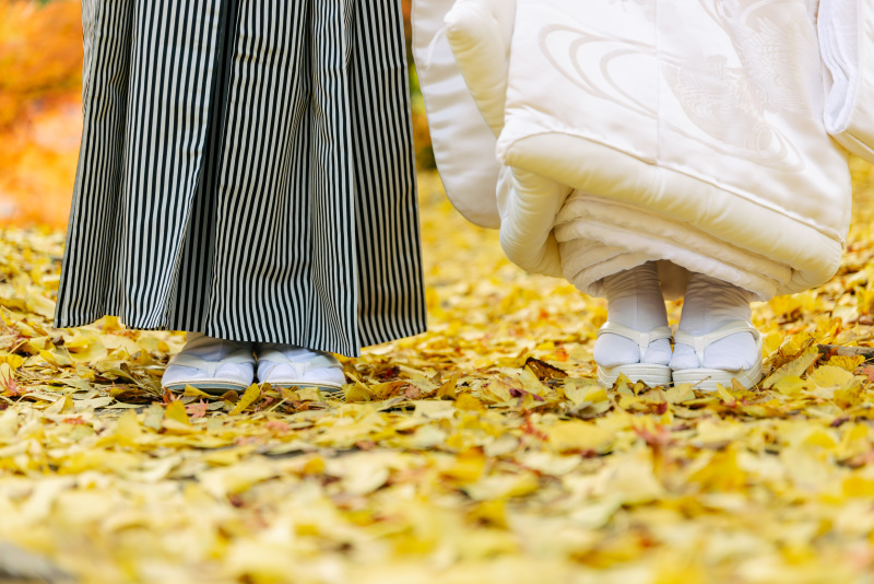 黄色のじゅうたん