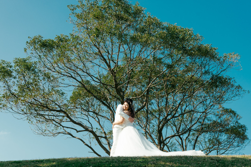 大きな木の下で