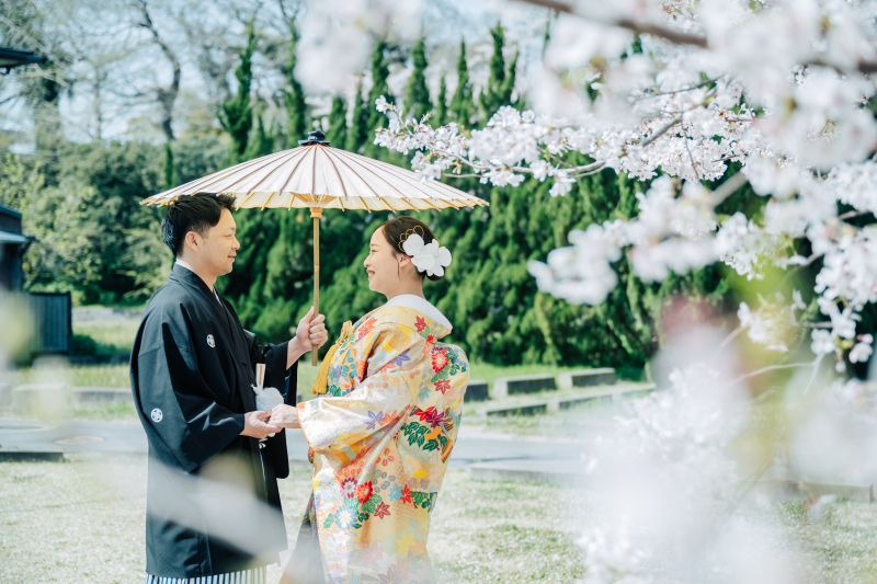 満開の桜に囲まれて。相合傘でラブラブショット