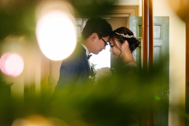 クリスマスツリー