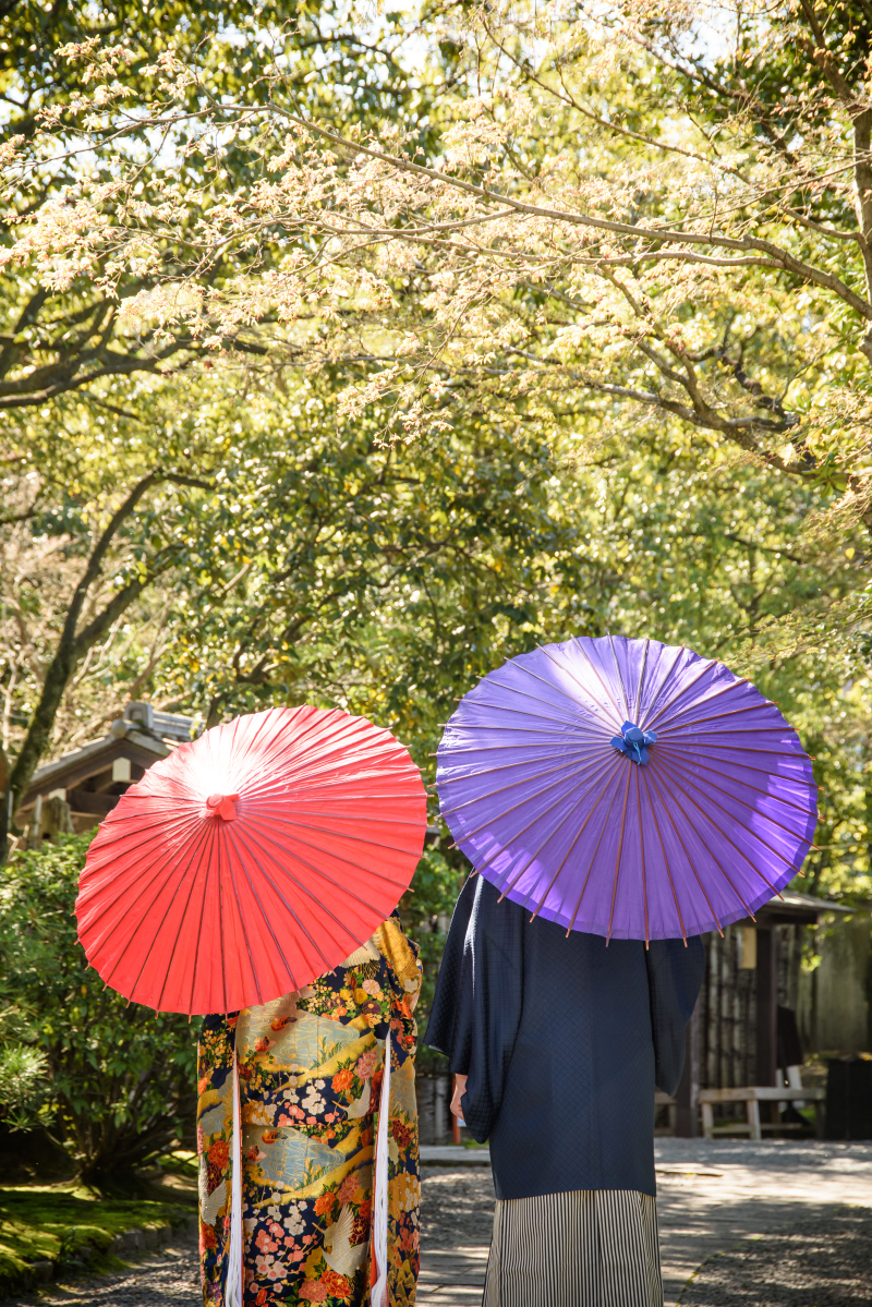 バックショット