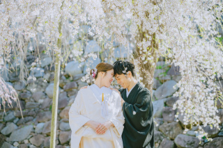 舞鶴公園〜平尾台