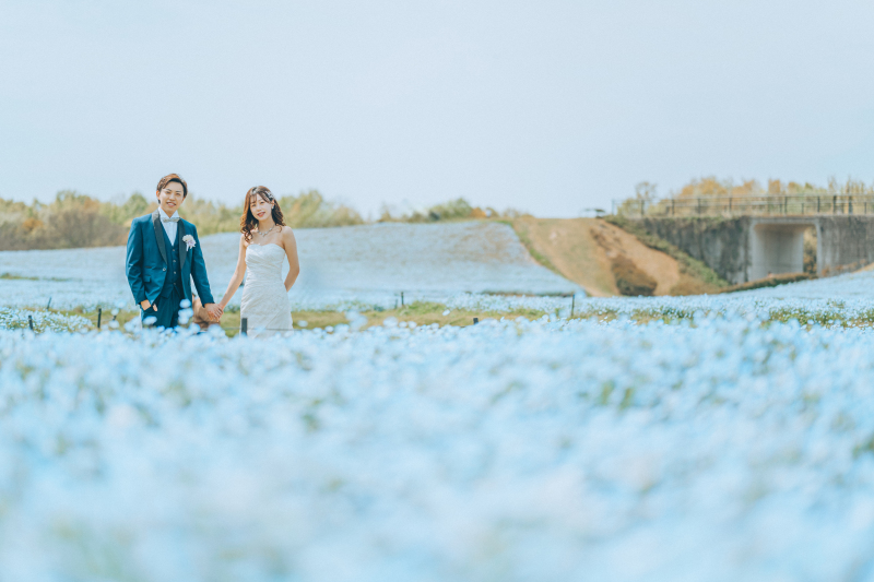 ネモフィラに囲まれて贅沢なウェディングフォト