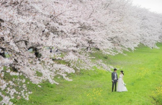 松風園〜うきは流川の河川敷